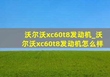 沃尔沃xc60t8发动机_沃尔沃xc60t8发动机怎么样