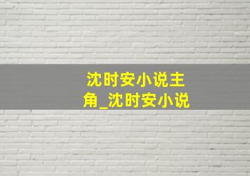 沈时安小说主角_沈时安小说