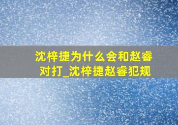 沈梓捷为什么会和赵睿对打_沈梓捷赵睿犯规