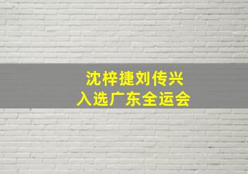 沈梓捷刘传兴入选广东全运会