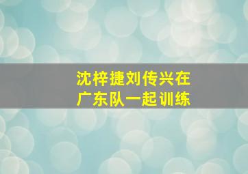 沈梓捷刘传兴在广东队一起训练