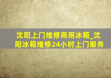 沈阳上门维修商用冰箱_沈阳冰箱维修24小时上门服务