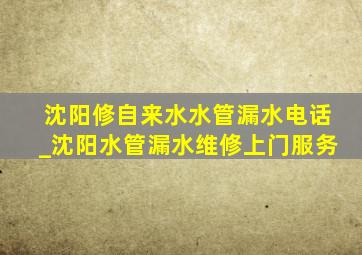 沈阳修自来水水管漏水电话_沈阳水管漏水维修上门服务