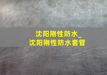 沈阳刚性防水_沈阳刚性防水套管