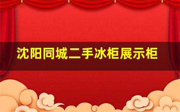 沈阳同城二手冰柜展示柜