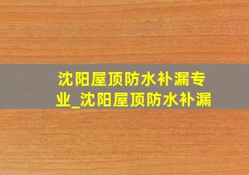 沈阳屋顶防水补漏专业_沈阳屋顶防水补漏