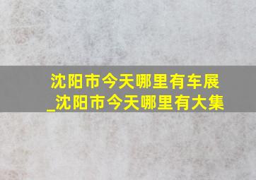 沈阳市今天哪里有车展_沈阳市今天哪里有大集