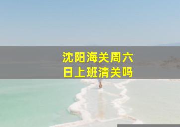 沈阳海关周六日上班清关吗