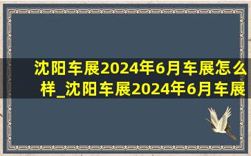 沈阳车展2024年6月车展怎么样_沈阳车展2024年6月车展