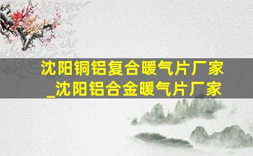 沈阳铜铝复合暖气片厂家_沈阳铝合金暖气片厂家