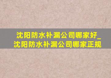 沈阳防水补漏公司哪家好_沈阳防水补漏公司哪家正规