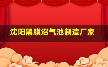 沈阳黑膜沼气池制造厂家