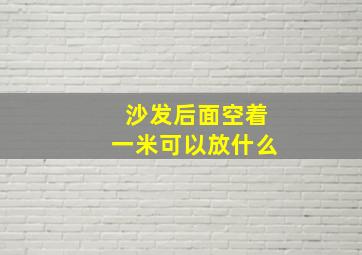 沙发后面空着一米可以放什么