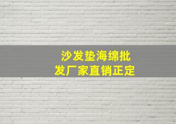 沙发垫海绵批发厂家直销正定