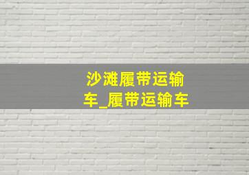 沙滩履带运输车_履带运输车