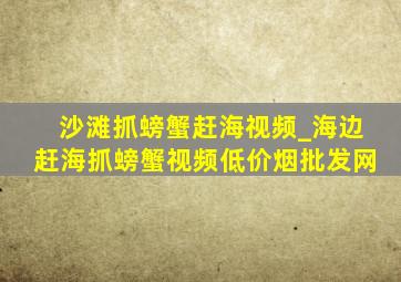 沙滩抓螃蟹赶海视频_海边赶海抓螃蟹视频(低价烟批发网)