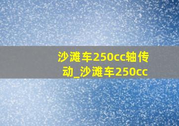 沙滩车250cc轴传动_沙滩车250cc