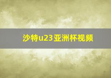 沙特u23亚洲杯视频