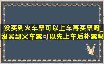 没买到火车票可以上车再买票吗_没买到火车票可以先上车后补票吗