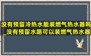 没有预留冷热水能装燃气热水器吗_没有预留水路可以装燃气热水器吗