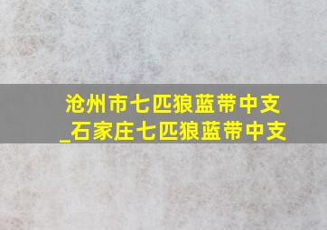 沧州市七匹狼蓝带中支_石家庄七匹狼蓝带中支