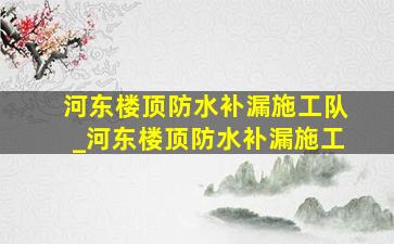 河东楼顶防水补漏施工队_河东楼顶防水补漏施工