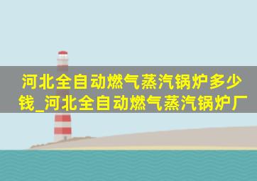 河北全自动燃气蒸汽锅炉多少钱_河北全自动燃气蒸汽锅炉厂