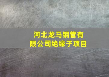 河北龙马钢管有限公司绝缘子项目