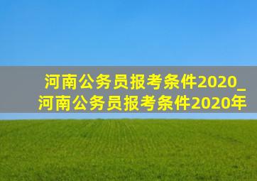 河南公务员报考条件2020_河南公务员报考条件2020年