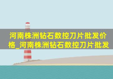 河南株洲钻石数控刀片批发价格_河南株洲钻石数控刀片批发