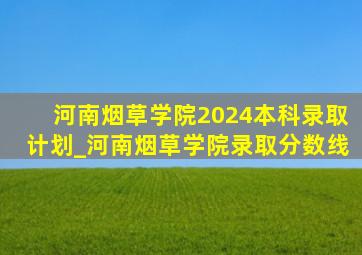 河南烟草学院2024本科录取计划_河南烟草学院录取分数线