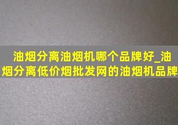 油烟分离油烟机哪个品牌好_油烟分离(低价烟批发网)的油烟机品牌