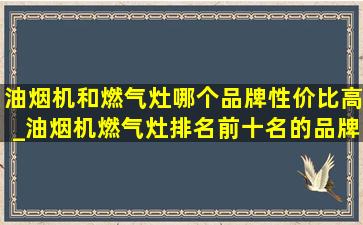 油烟机和燃气灶哪个品牌性价比高_油烟机燃气灶排名前十名的品牌