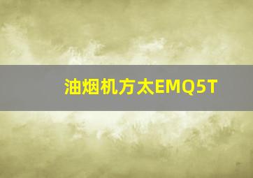 油烟机方太EMQ5T