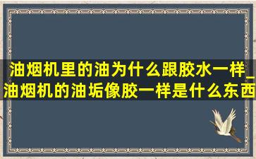 油烟机里的油为什么跟胶水一样_油烟机的油垢像胶一样是什么东西