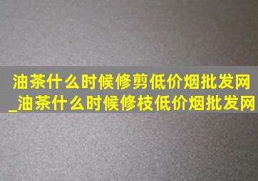 油茶什么时候修剪(低价烟批发网)_油茶什么时候修枝(低价烟批发网)