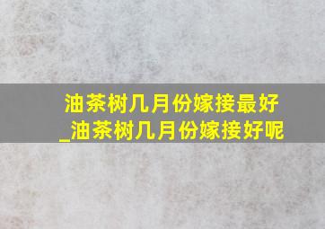 油茶树几月份嫁接最好_油茶树几月份嫁接好呢