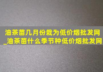 油茶苗几月份栽为(低价烟批发网)_油茶苗什么季节种(低价烟批发网)