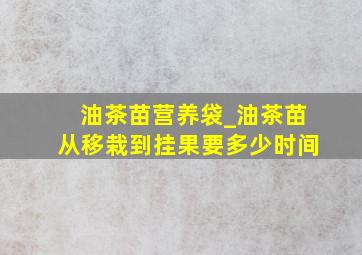 油茶苗营养袋_油茶苗从移栽到挂果要多少时间