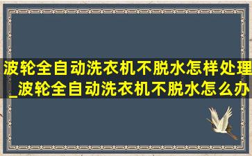 波轮全自动洗衣机不脱水怎样处理_波轮全自动洗衣机不脱水怎么办