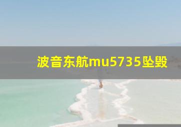 波音东航mu5735坠毁