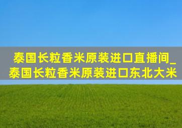 泰国长粒香米原装进口直播间_泰国长粒香米原装进口东北大米