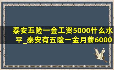 泰安五险一金工资5000什么水平_泰安有五险一金月薪6000的工作吗