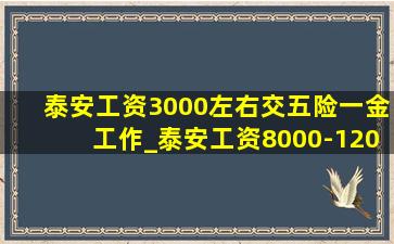 泰安工资3000左右交五险一金工作_泰安工资8000-12000的工作