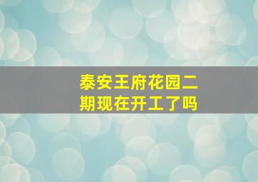 泰安王府花园二期现在开工了吗