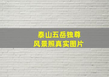 泰山五岳独尊风景照真实图片