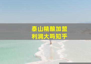 泰山精酿加盟利润大吗知乎