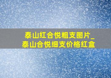 泰山红合悦粗支图片_泰山合悦细支价格红盒