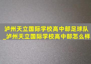 泸州天立国际学校高中部足球队_泸州天立国际学校高中部怎么样