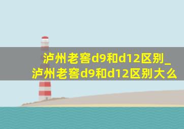 泸州老窖d9和d12区别_泸州老窖d9和d12区别大么